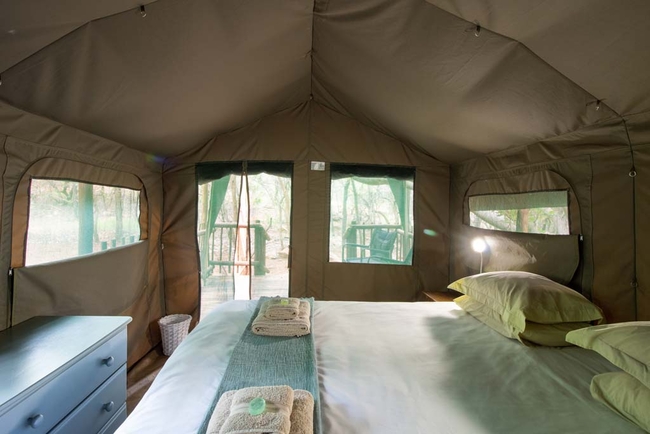 Molope Tented Camp 