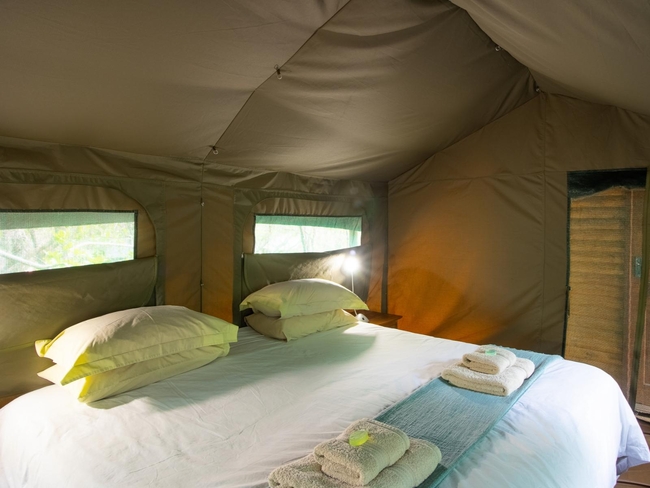 Molope Tented Camp 