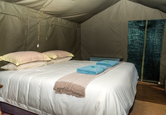 Molope Tented Camp 