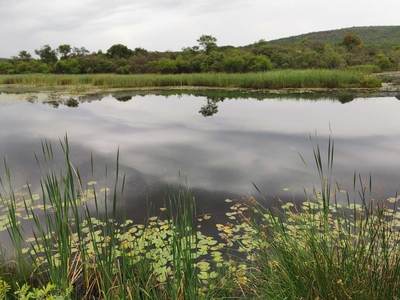 Skebenga Lodge