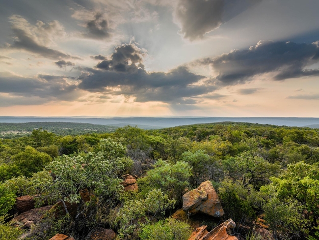Lindani Game and Lodges