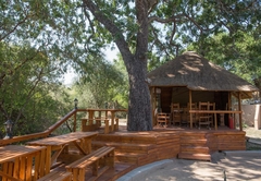 Lion Tree Top Lodge