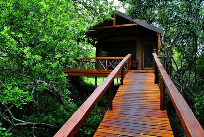 Lion Tree Top Lodge