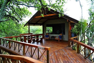 Lion Tree Top Lodge