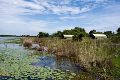 Little Mongena Tented Camp