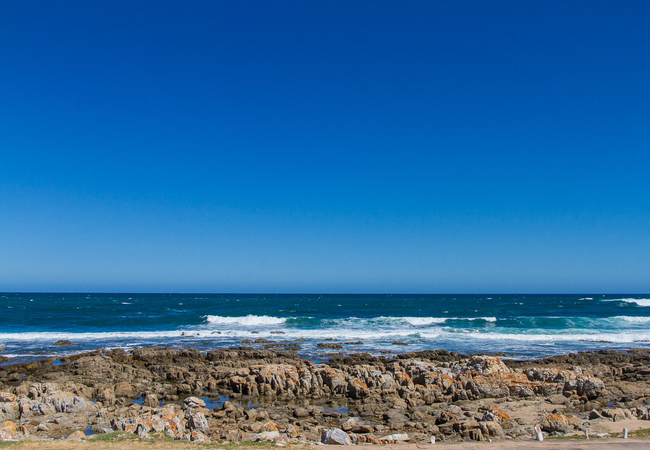 View from diningroom