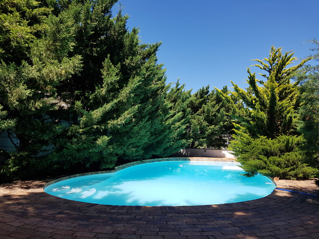 Shared swimming pool