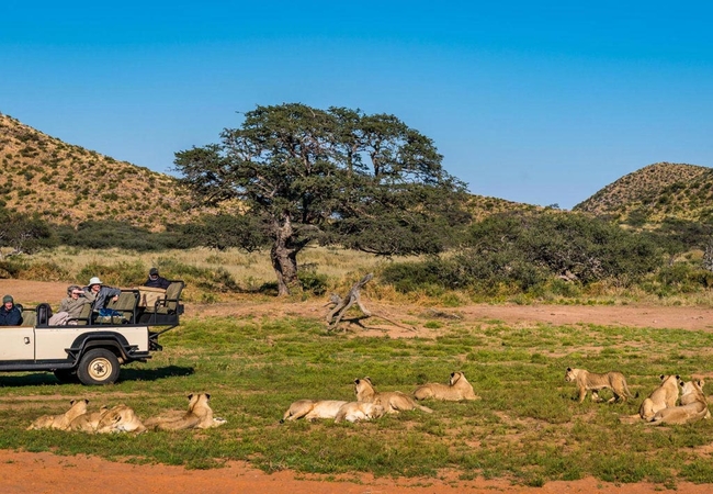 Tswalu Kalahari Reserve