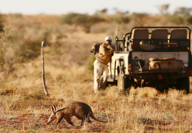 Tswalu Kalahari Reserve