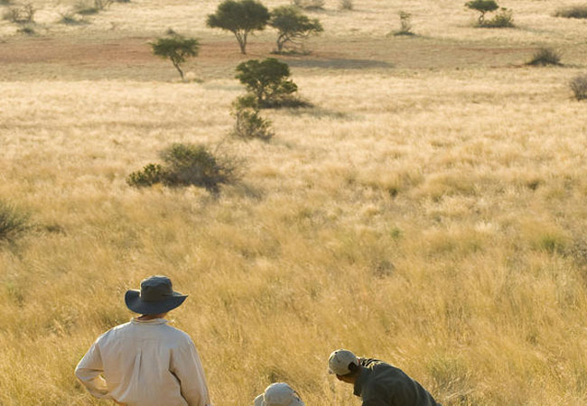 Tswalu Kalahari Reserve
