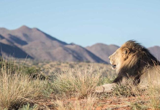 Tswalu Kalahari Reserve