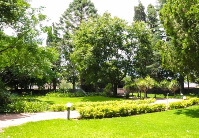 Communal Garden