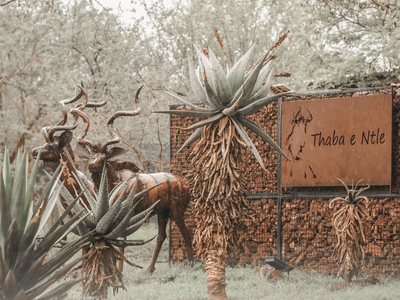 Tented Log Cabin at Thaba eNtle