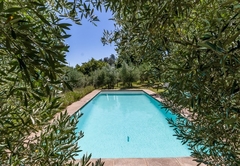 Pool in the olive grove