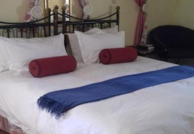 Standard Twin / King Room