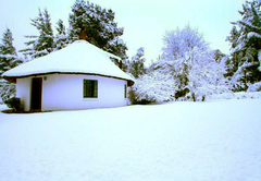Lothlorien Cottage