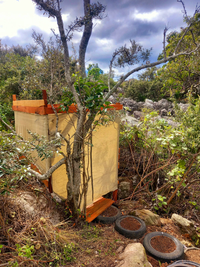 Louis at Magwa Falls