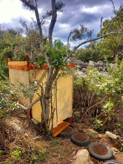 Louis at Magwa Falls