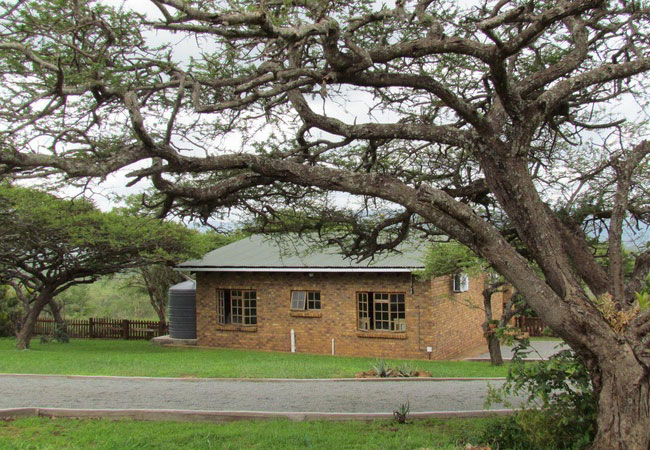 Lucky Bean Tree Cottage