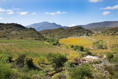 Ludicks Farm Cottages