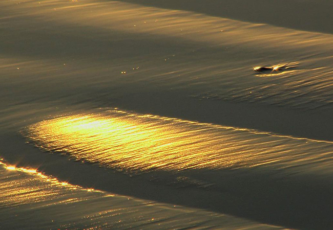 Yzerfontein beach