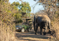 Mabula Game Lodge