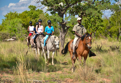 Mabula Game Lodge