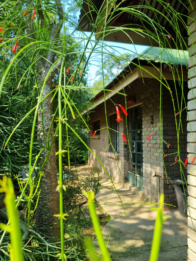 Sunbirds Nest