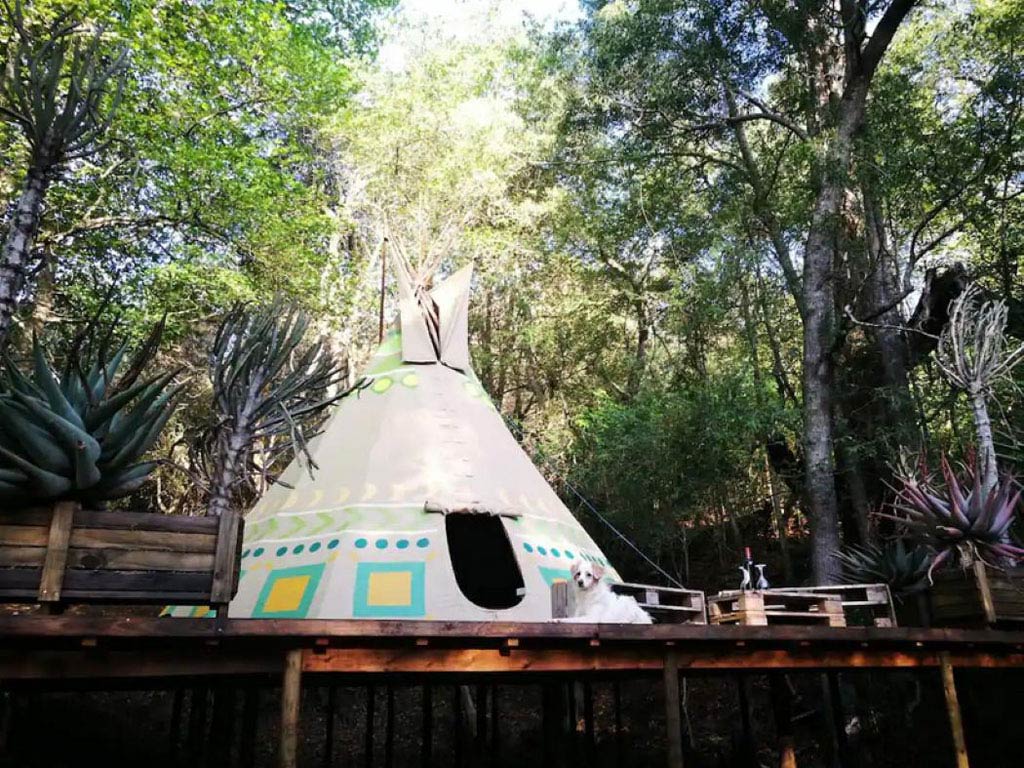 The Magical Teepee Experience