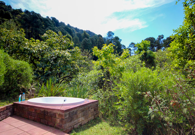 Trogon bath