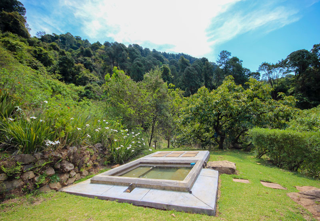 Trogon Splashpool