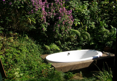 Robin bath in the garden