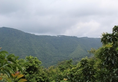 Magoebaskloof Mountain Lodge