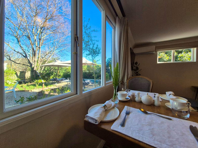 Superior Double Room with garden patio