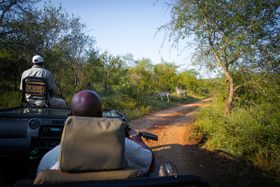 Makalali Private Game Lodge