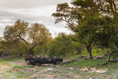 Makalali Private Game Lodge