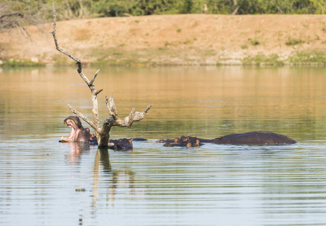 Makalali Private Game Lodge