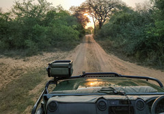 Makhasa Private Game Lodge