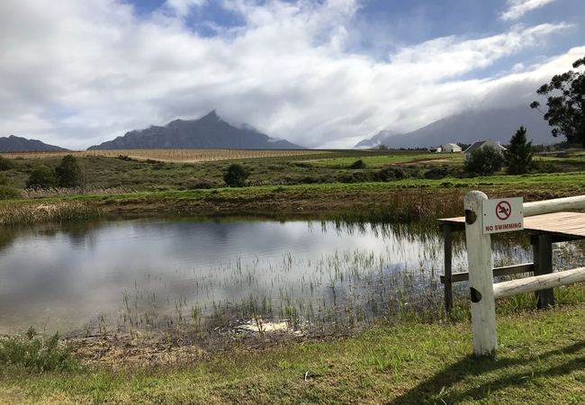 Manley Wine Lodge