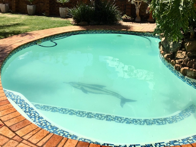 Map's View Guest House