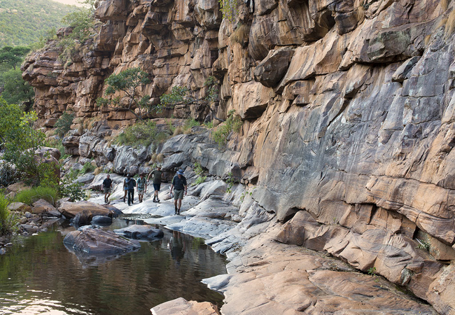 Bush walk experience