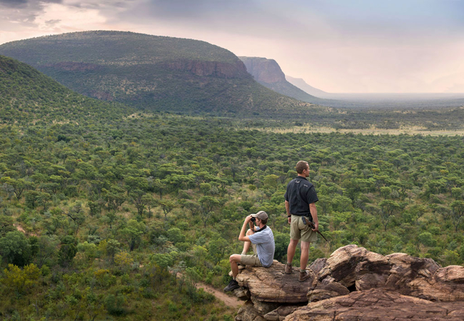 Bush walk experience