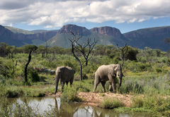 Marataba Safari Lodge