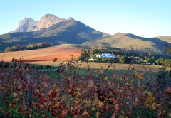 Marianne Wine Farm
