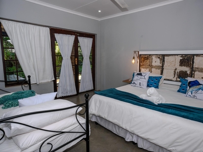 Triple Room: Sailfish