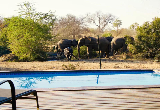 Masodini Private Game Lodge