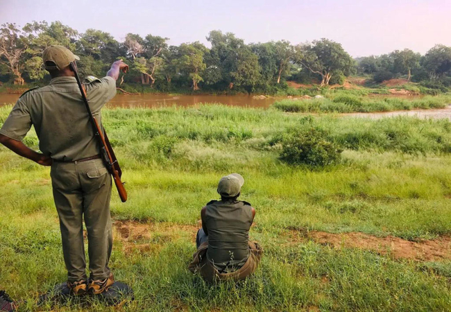 Game Drives and walks