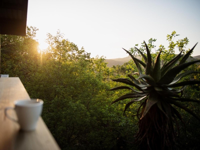 River View Standard Chalet