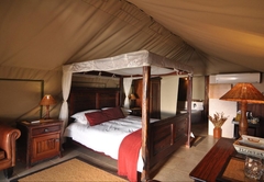 Queen Safari Tent