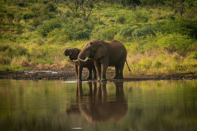 Mavela Game Lodge